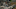Murderbot_Photo_010908 Murderbot_Photo_010908
