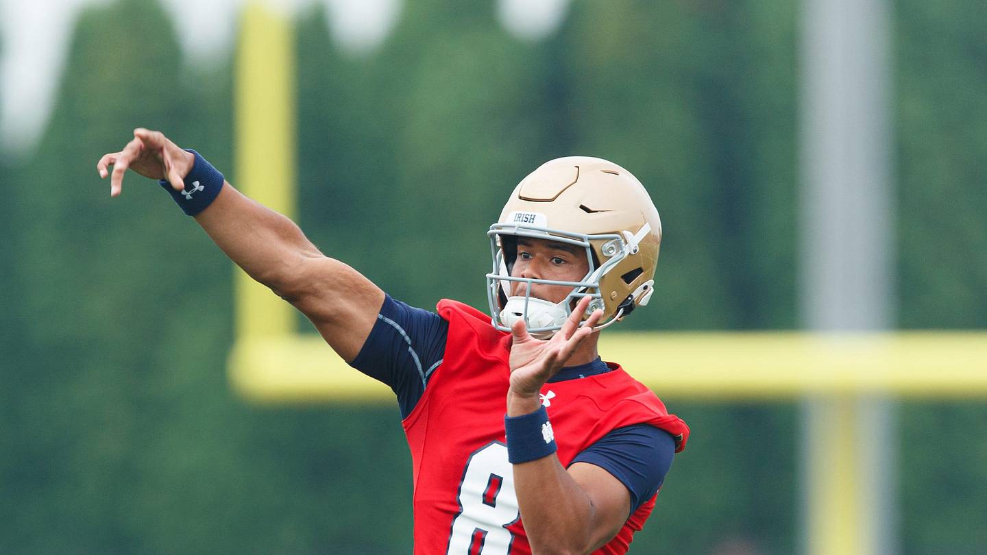 David Pollack Picks SEC QB for Breakout Campaign Entering 2026 Season