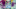 Screenshot of Holo Vaporeon Star from Power Keepers Pokemon TCG.jpg Screenshot of Holo Vaporeon Star from Power Keepers Pokemon TCG.jpg