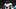 Fantasy Football, Baltimore Ravens, Zay Flower Fantasy Football, Baltimore Ravens, Zay Flower