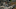 Murderbot_Photo_010908 Murderbot_Photo_010908
