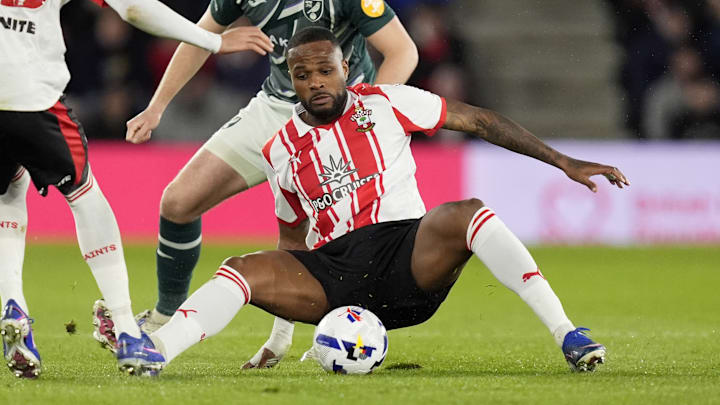 Southampton v Norwich City - Sky Bet Championship - St Mary's Stadium