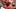 Tampa Bay Buccaneers head coach Todd Bowles looks on prior to the game against the Cleveland Browns Tampa Bay Buccaneers head coach Todd Bowles looks on prior to the game against the Cleveland Browns