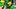 oreogn ducks dante moore dierre hill running backs quarterback dan lanning boise state broncos fall camp noah whittington