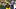Rasheed Walker