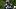 Seattle Seahawks running back Jadarian Price (8) catches a pass during the first training camp