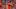 Denver Broncos quarterback Bo Nix Denver Broncos quarterback Bo Nix