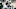 Cam Edward