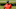 PGA Championship dark horse picks, sleepers PGA Championship dark horse picks, sleepers
