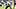 New England Patriots wide receiver A.J. Brown