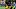 Pittsburgh Steelers safety DeShon Elliott (25) Pittsburgh Steelers safety DeShon Elliott (25)
