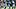 Seattle Seahawks quarterback Sam Darnold drops back to pass against the San Francisco 49ers. Seattle Seahawks quarterback Sam Darnold drops back to pass against the San Francisco 49ers.