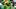 oregon ducks football uniform combination reveal nike zach grisham dan lanning portland state vikings luke rubley oregon ducks football uniform combination reveal nike zach grisham dan lanning portland state vikings luke rubley