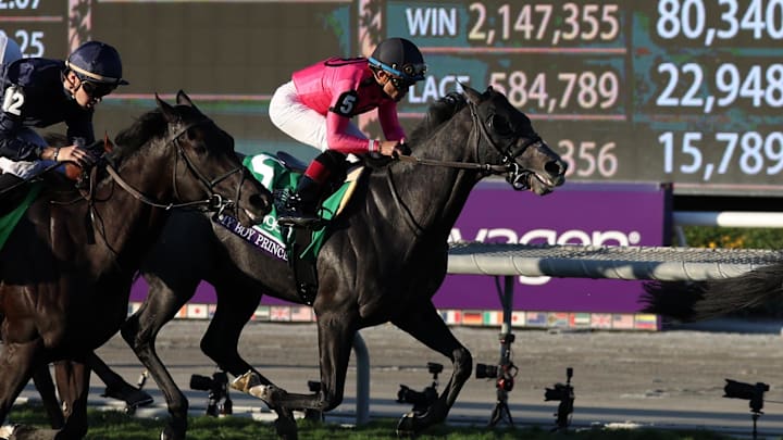 Nov 3, 2023; Santa Anita, CA, USA; My Boy Prince (5) ran third in the BREEDERS' CUP JUVENILE TURF during the 2023 Breeders' Cup World Championships at Santa Anita Park. Nov 3, 2023; Santa Anita, CA, USA; My Boy Prince (5) ran third in the BREEDERS' CUP JUVENILE TURF during the 2023 Breeders' Cup World Championships at Santa Anita Park.