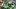 Oregon Ducks duo dan lanning eugene autzen stadium dante moore dakorien moore evan stewart college football 2026 Oregon Ducks duo dan lanning eugene autzen stadium dante moore dakorien moore evan stewart college football 2026