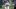 New England Patriots tight end Jack Westover New England Patriots tight end Jack Westover