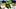 Oregon football Ducks Dan Lanning Big Ten championship expectations Dante Moore CFP season playoff hype rat poison Oregon football Ducks Dan Lanning Big Ten championship expectations Dante Moore CFP season playoff hype rat poison