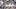 Houston Astros starting pitcher Tatsuya Imai Houston Astros starting pitcher Tatsuya Imai