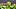 Oregon Ducks College Football Big Ten Devon Jackson linebacker national championship expectations Bryce Boettcher Oregon Ducks College Football Big Ten Devon Jackson linebacker national championship expectations Bryce Boettcher