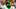 Jamari Johnson Oregon Ducks Oregon football Big Ten Media Days Dan Lanning Dante Moore Autzen Stadium Ducks offense tight en Jamari Johnson Oregon Ducks Oregon football Big Ten Media Days Dan Lanning Dante Moore Autzen Stadium Ducks offense tight en