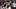 Texas A&M Aggies quarterback Brady Hart Texas A&M Aggies quarterback Brady Hart