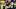 Pittsburgh Steelers tight end Pat Freiermuth Pittsburgh Steelers tight end Pat Freiermuth