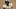 Colorado Buffaloes Deion Sanders Recruiting Coach Prime Recruit Wide Receiver Jaden Baldwin Brennan Marion Sacramento State