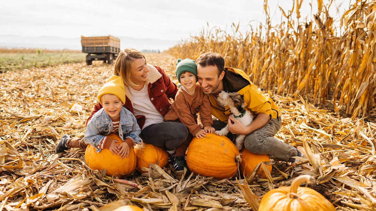 The Best Cities in America for Family Fall Activities, Ranked
