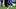 Seattle Seahawks running back George Holani runs against the Los Angeles Rams during the 2026 NFC Championship Game. Seattle Seahawks running back George Holani runs against the Los Angeles Rams during the 2026 NFC Championship Game.