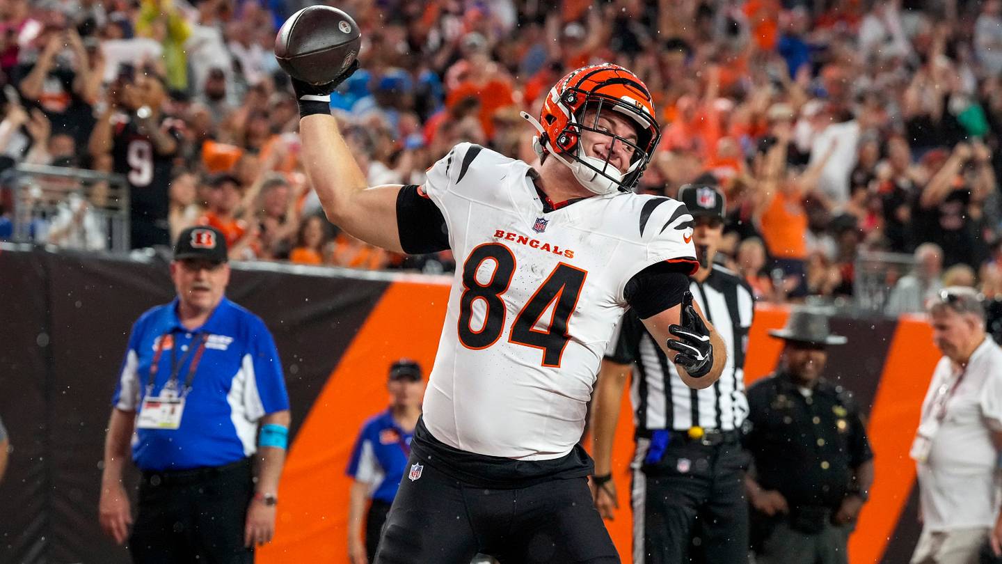 Zac Taylor's praise for Jack Endries exposes avoidable Bengals roster defect