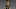Bust Of Athena