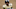 Colorado Buffaloes Deion Sanders Recruiting Coach prime Rankings College Football Big 12 High School Commits Transfer Portal