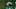 oregon ducks kenyon sadiq new york jets nfl training camp injury draft jordan james san francisco 49ers big ten football oregon ducks kenyon sadiq new york jets nfl training camp injury draft jordan james san francisco 49ers big ten football