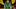 oregon ducks dan lanning davon benjamin cornerback autzen stadium boise state broncos brandon finney recruiting oregon ducks dan lanning davon benjamin cornerback autzen stadium boise state broncos brandon finney recruiting