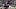 Mississippi State Bulldogs quarterback Kamario Taylor Mississippi State Bulldogs quarterback Kamario Taylor