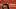 Texas Longhorns wide receiver Cam Coleman Texas Longhorns wide receiver Cam Coleman