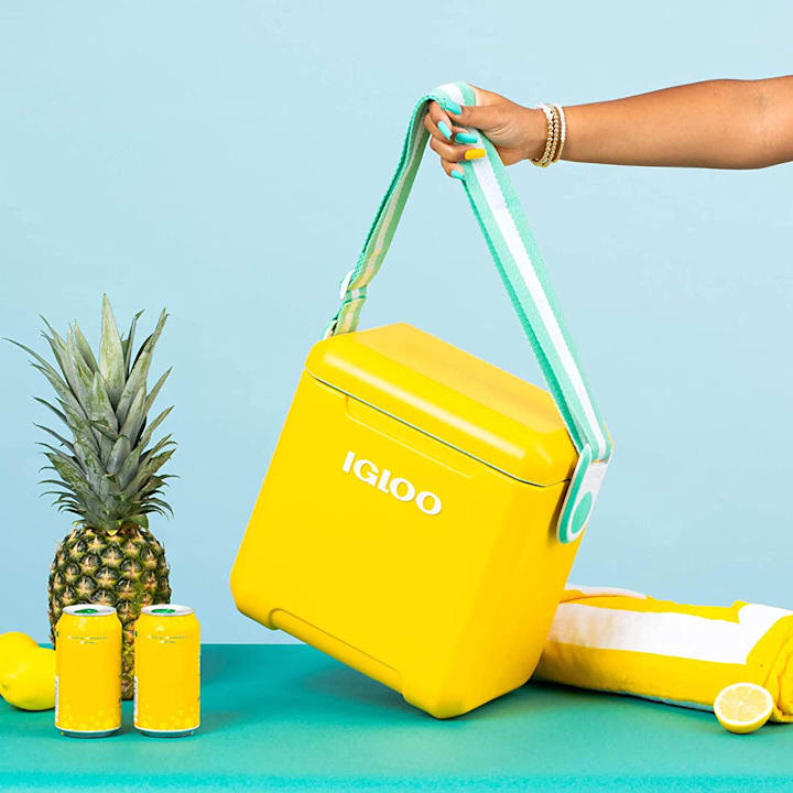 Igloo 11 Qt Tag-a-long Hard Sided Cooler, Pink Walmart Is Selling