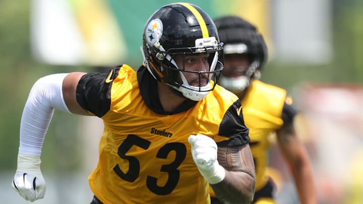 Pittsburgh Steelers linebacker Eku Leota