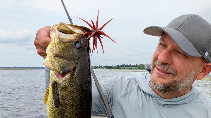Berkley 'Moeba: Fad or Fish-Catching Phenom? Berkley 'Moeba: Fad or Fish-Catching Phenom?