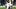 New England Patriots cornerback Christian Gonzalez during the third quarter against the Seattle Seahawks. New England Patriots cornerback Christian Gonzalez during the third quarter against the Seattle Seahawks.
