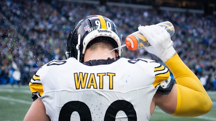 Pittsburgh Steelers, Steelers