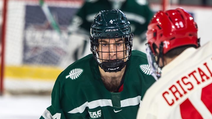 Thanks to a 3-1 win at Harvard on Friday, Dartmouth has the best NPI ranking in the ECAC, but is tied with Cornell behind Quinnipiac in the standings.