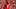 Fantasy Football, Kansas City Chiefs, Rashee Rice Fantasy Football, Kansas City Chiefs, Rashee Rice