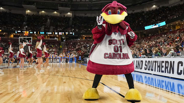 South Carolina Gamecocks mascot Cocky