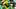 oregon ducks football uniform combination reveal nike zach grisham dan lanning portland state vikings autzen stadium jersey oregon ducks football uniform combination reveal nike zach grisham dan lanning portland state vikings autzen stadium jersey