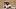 Three Reasons Why Next Season Could Be Deion Sanders' Best With Colorado Sack Production Offensive Changes New Linebackers Three Reasons Why Next Season Could Be Deion Sanders' Best With Colorado Sack Production Offensive Changes New Linebackers