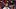 Jacob Wilso Jacob Wilso