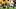 USC Trojans Big Ten Recruiting Class of 2028 Three-Star Running Back Jaion Smith Waymond Jordan King Miller Bryan Jackson USC Trojans Big Ten Recruiting Class of 2028 Three-Star Running Back Jaion Smith Waymond Jordan King Miller Bryan Jackson