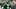New York Jets defensive end Will McDonald IV New York Jets defensive end Will McDonald IV