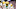 Oregon quarterback Dante Moore celebrates a touchdown as the Oregon Ducks take on the Washington Huskies on Nov. 29, 2025, at